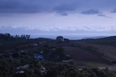 DSC_1223 (Large).JPG